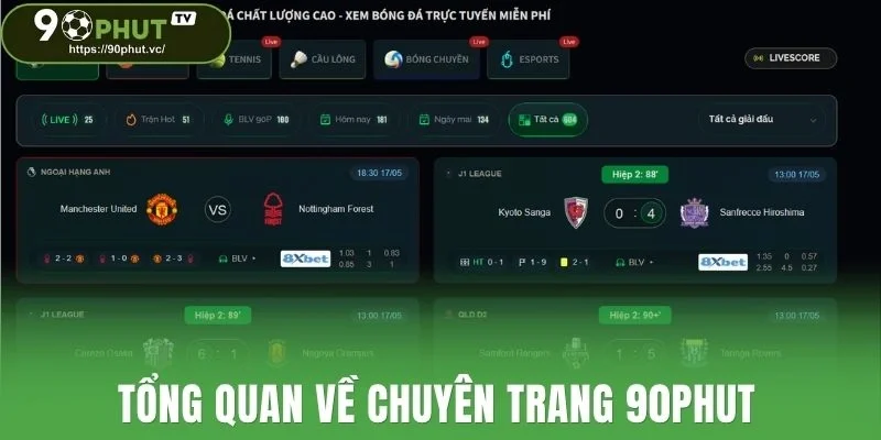 Tổng quan về chuyên trang 90Phut